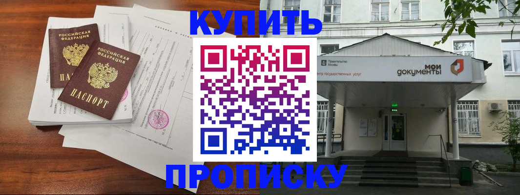 прописка для школы в Шумихе